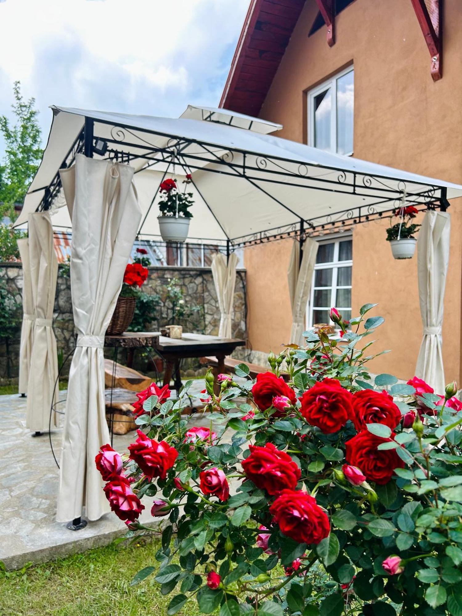 La Teo Villa Almafa Kültér fotó
