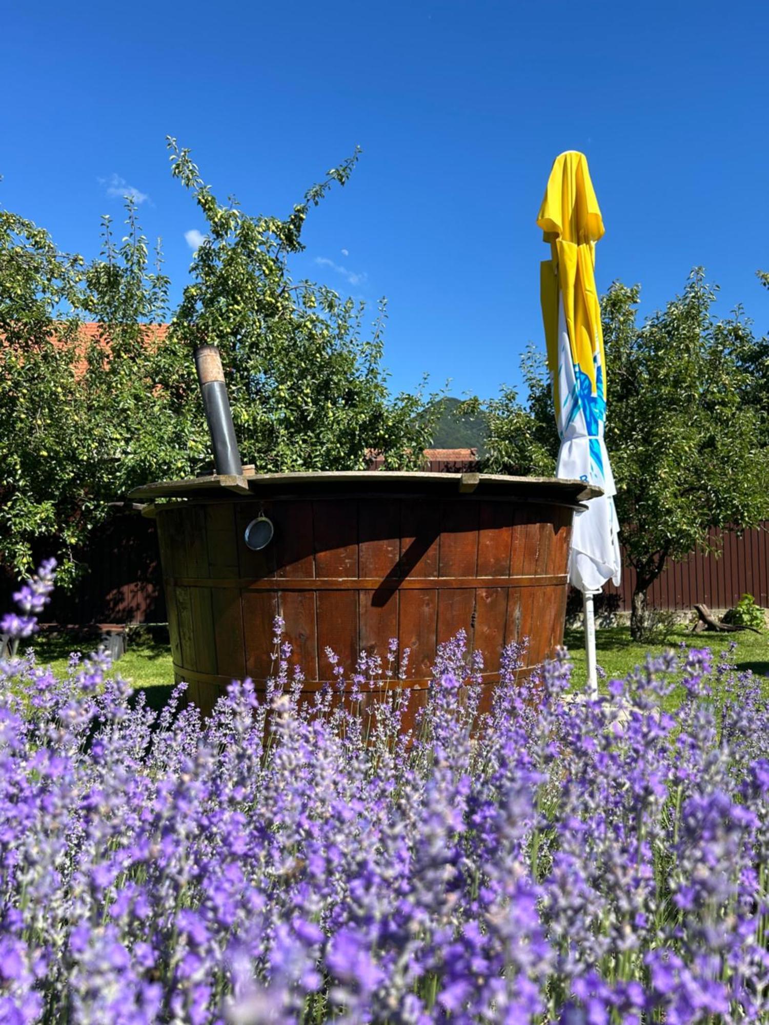 La Teo Villa Almafa Kültér fotó